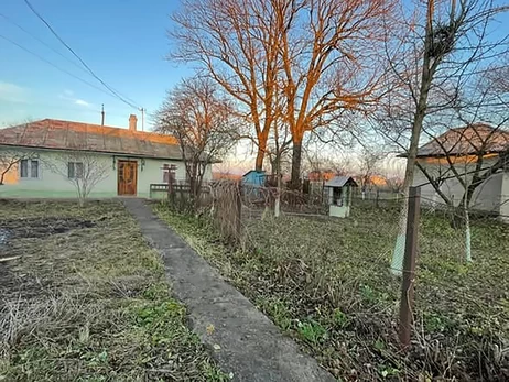 «Спускаемся на землю»: почему украинцы массово переселяются из городов в села