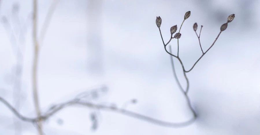 В Україну повертається з 8 грудня потепління, у деяких областях – до +10