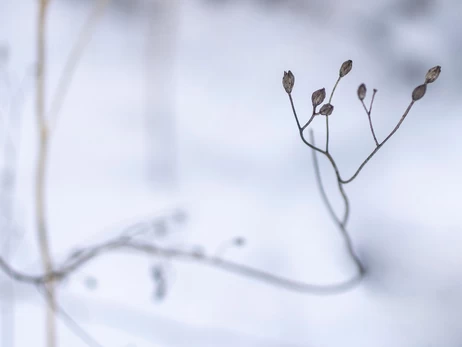 В Україну повертається з 8 грудня потепління, у деяких областях – до +10