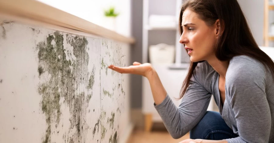 Чем опасна плесень и как она разрушает наше здоровье