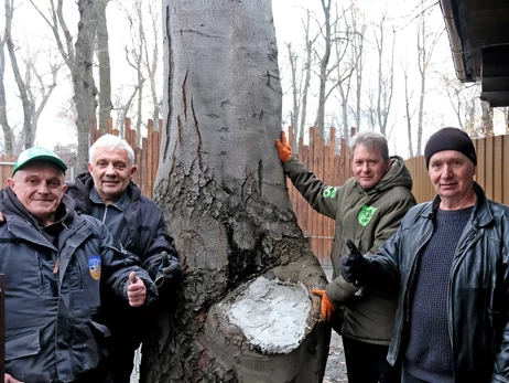 В Киевском зоопарке спасли столетний бук