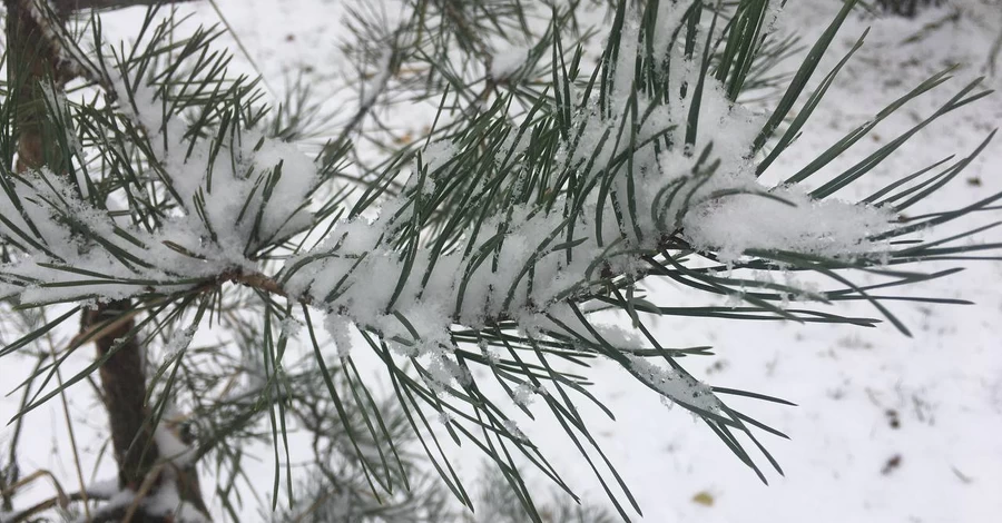В Украину идет похолодание до 7 градусов мороза - прогноз погоды на 11 декабря