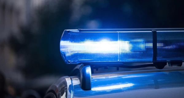 В Литве задержали украинца, перевозившего нелегальных мигрантов