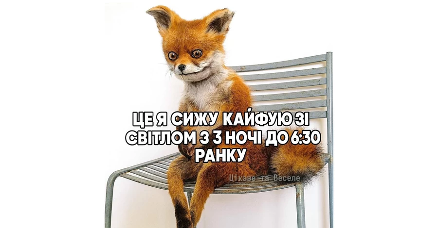 Анекдоты и мемы недели: Ищите свет в себе, а не себя в свете