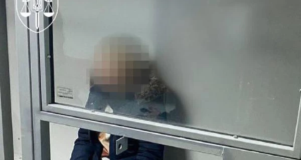 Германия экстрадировала в Украину харьковчанку, торговавшую детьми под видом суррогатного материнства