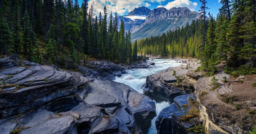 18 грудня - День військової контррозвідки СБУ, яке сьогодні церковне свято, що не можна робити