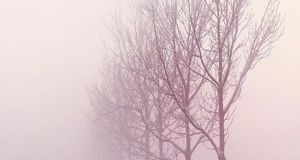 В Україні 21 грудня очікується до +3 тепла, але низку областей накриє туман