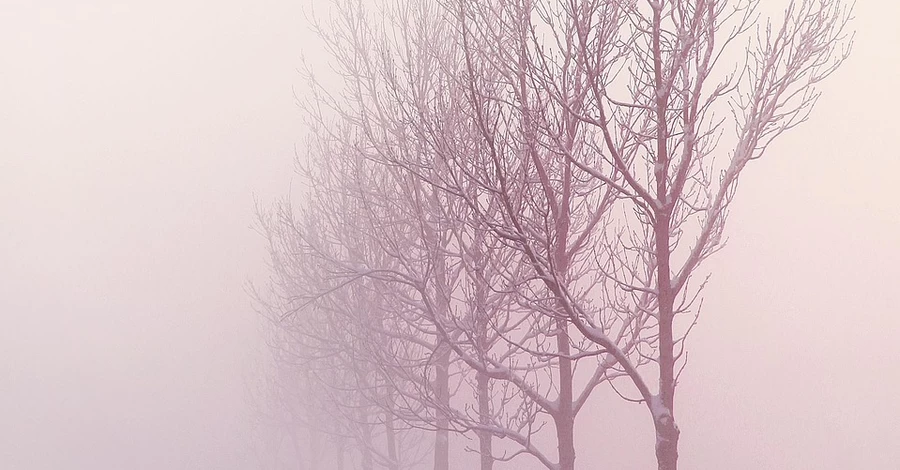 В Украине 21 декабря ожидается до +3 тепла, но ряд областей накроет туман