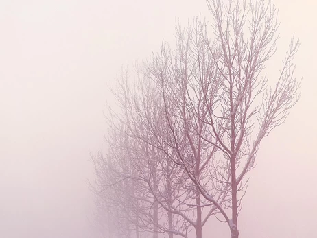 В Украине 21 декабря ожидается до +3 тепла, но ряд областей накроет туман