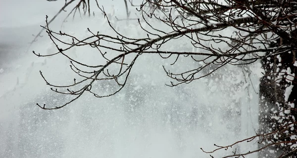 В Україну 22 грудня повертається потепління, але у деяких областях очікується сніг