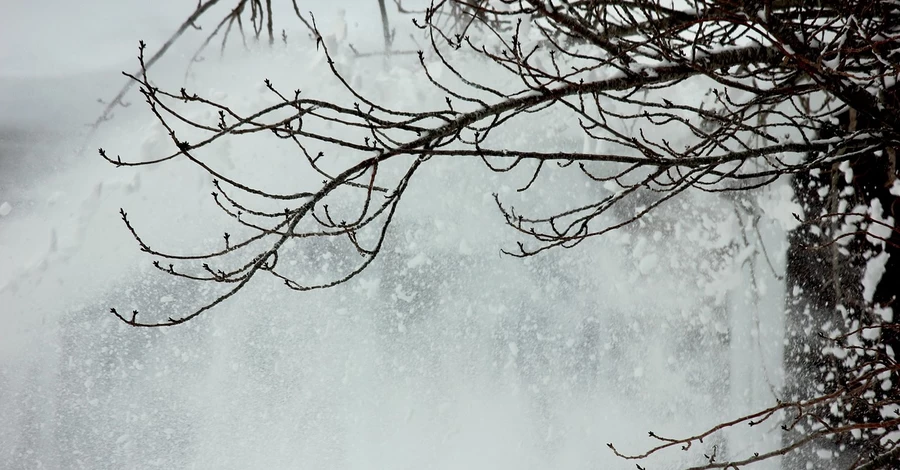 В Україну 22 грудня повертається потепління, але у деяких областях очікується сніг