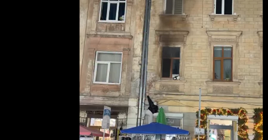 У Львові хлопець врятував кота під час пожежі в квартирі на другому поверсі