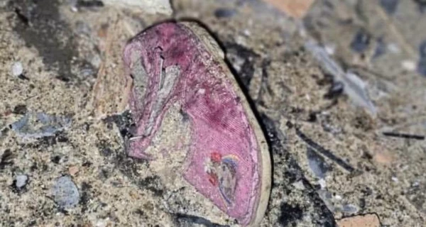 Силы ПВО обезвредили 587 дронов и 34 ракеты