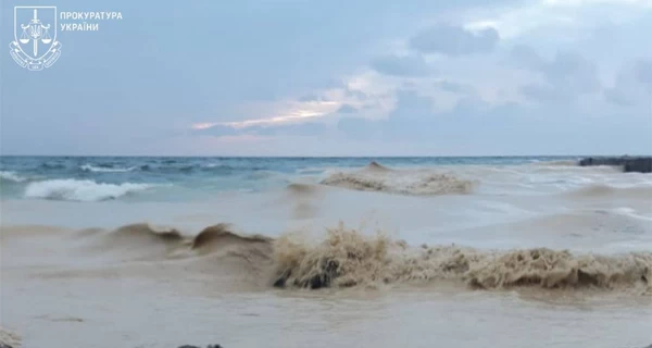 На одесских пляжах заметили нефтяные пятна и погибших птиц - начато расследование