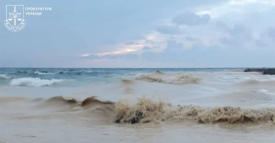 На одесских пляжах заметили нефтяные пятна и погибших птиц - начато расследование