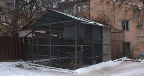 Кияни підтримали петицію проти перебудови історичного флігеля в 