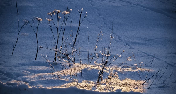 У вихідні в Україні прогнозують мокрий сніг, ожеледицю та сильний вітер