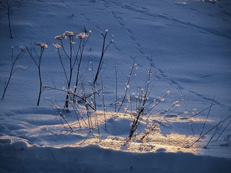 В выходные в Украине прогнозируют мокрый снег, гололедицу и сильный ветер