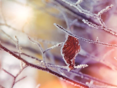 27 грудня - яке сьогодні свято, що не можна робити цього дня, традиції та прикмети, все про цей день