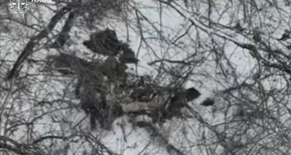 Россияне расстреляли двух военнопленных на Покровском направлении