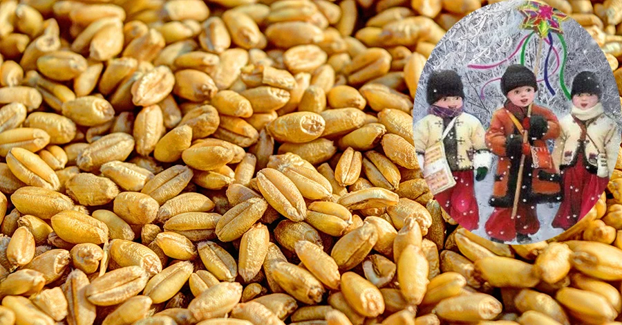 Коли посівати на свята: красиві посівалки для дорослих і дітей