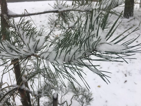 Погода в Украине на выходные - прогнозируют мокрый снег и сильный ветер