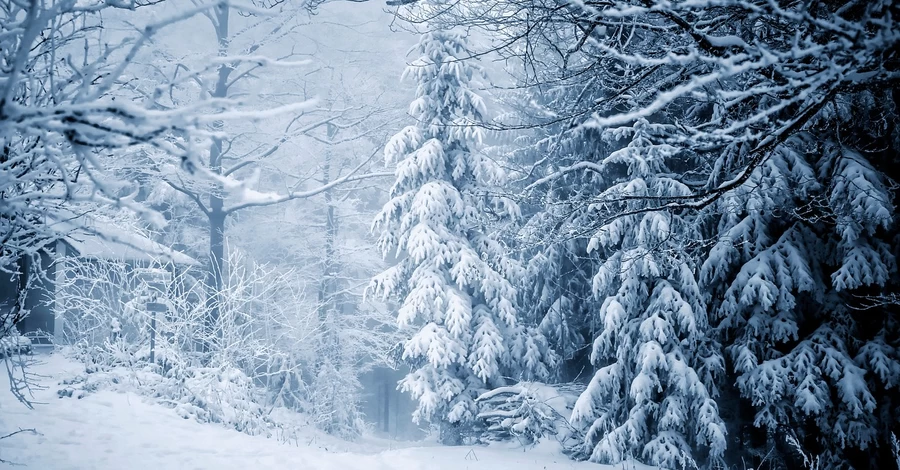 5 января в Украине будет неоднородная погода, а в конце недели придут морозы до -17