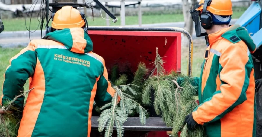 Куда деть живую елку после праздников