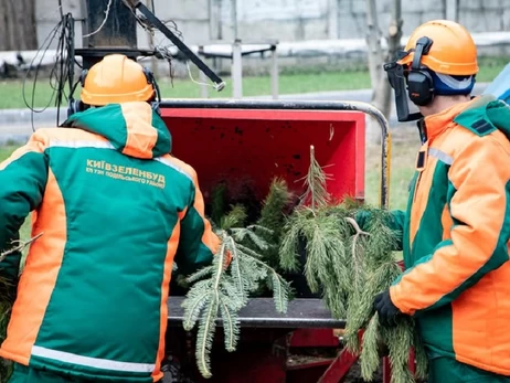Куди подіти живу ялинку після свят