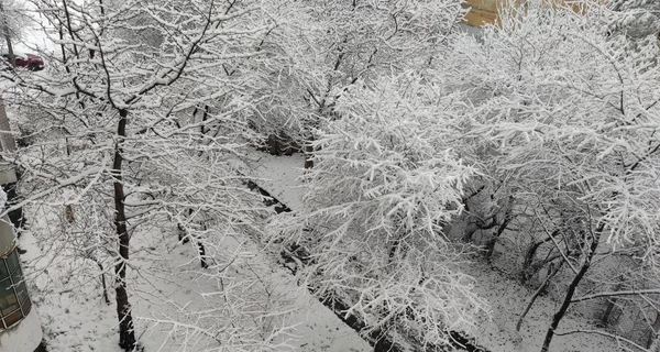 Непогода в Украине - в Карпатах видимость до 50 метров, а Киев засыпает снегом