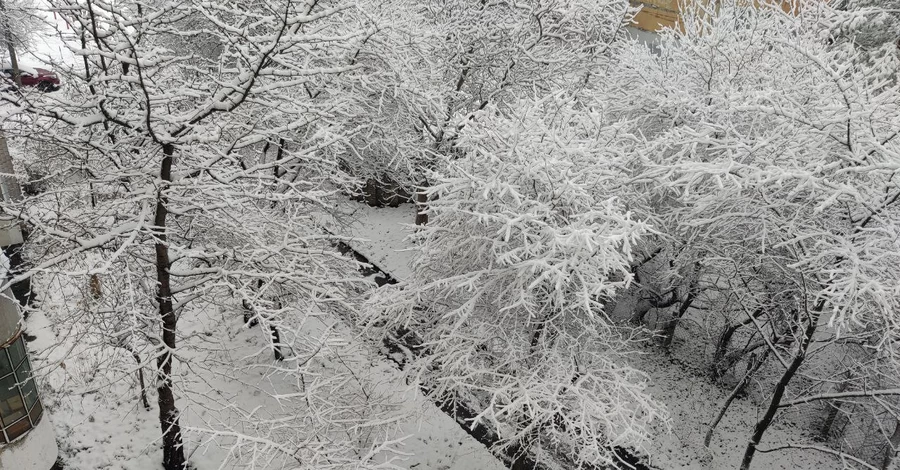 Негода в Україні - в Карпатах видимість до 50 метрів, а Київ засипає снігом