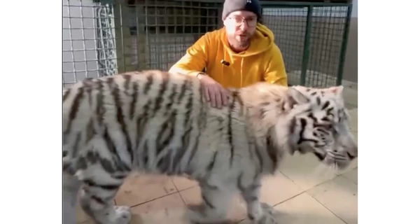 Руководитель «Фельдман Экопарка»: Хищники уже отошли от стресса после новогоднего обстрела