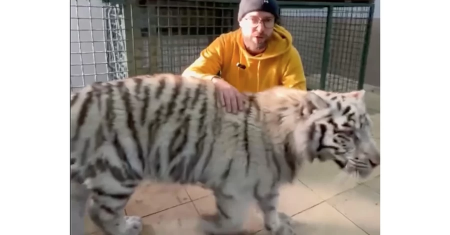 Керівник «Фельдман Екопарку»: Хижаки вже відійшли від стресу після новорічного обстрілу