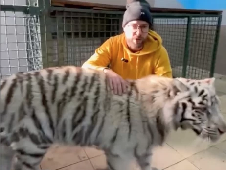 Керівник «Фельдман Екопарку»: Хижаки вже відійшли від стресу після новорічного обстрілу