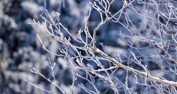 В Украине 13 января ожидаются серьезные морозы, в некоторых областях до -20