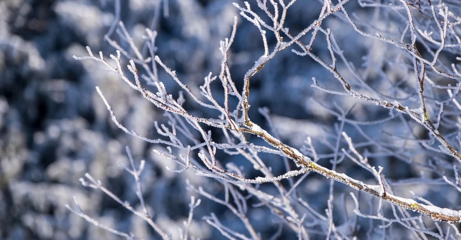 В Украине 13 января ожидаются серьезные морозы, в некоторых областях до -20