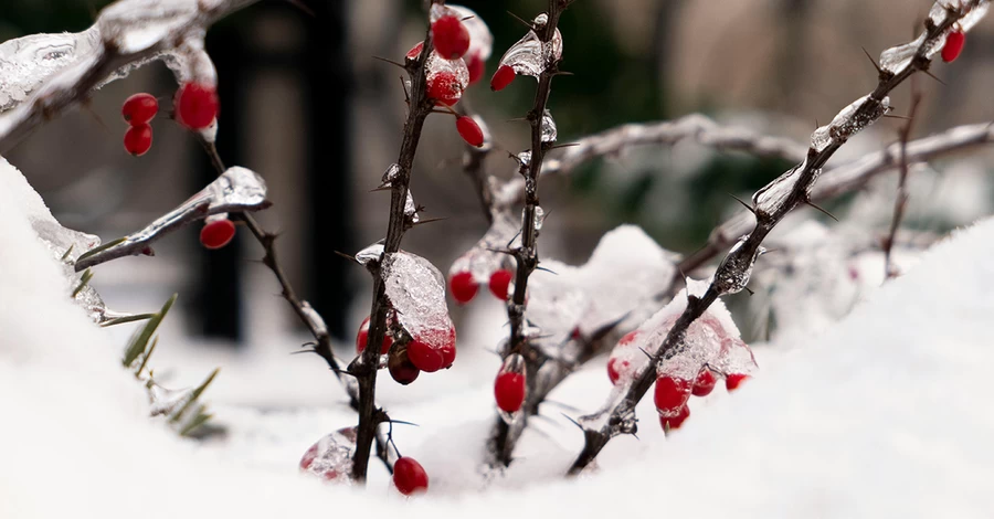 14 января – какой сегодня церковный праздник, что нельзя делать, все об этом дне