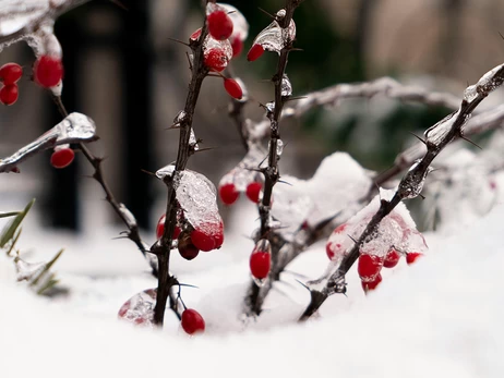 14 января – какой сегодня церковный праздник, что нельзя делать, все об этом дне