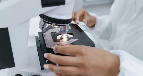 В Польше начался сбор ДНК-образцов у украинцев, имеющих пропавших без вести родственников