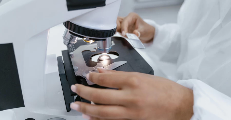 В Польше начался сбор ДНК-образцов у украинцев, у которых есть пропавшие без вести родственники