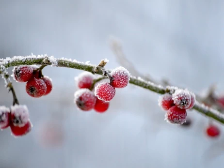 В Украине 18 января сохранится морозная погода, в некоторых областях до -20