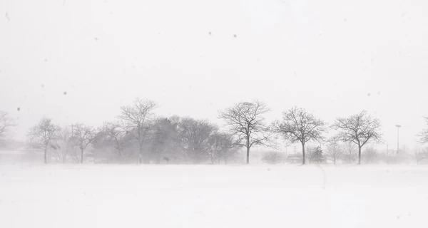 В США на трассе столкнулись более 100 машин