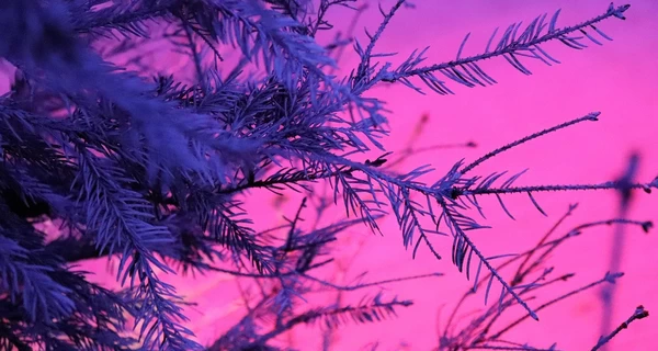 Погода в Украине 23 января: днем ​​будет до -7 градусов мороза, местами - мокрый снег