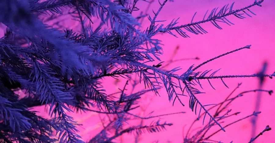 Погода в Україні 23 січня: вдень буде до -7 градусів морозу, подекуди мокрий сніг