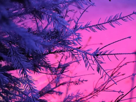 Погода в Украине 23 января: днем ​​будет до -7 градусов мороза, местами - мокрый снег