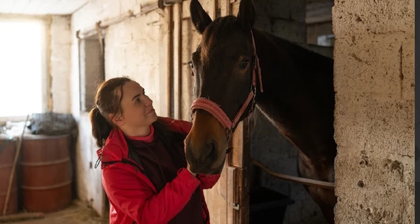 Владелец конного клуба во Львове: Наши лошади должны были «пойти на колбасу», а теперь катают детей