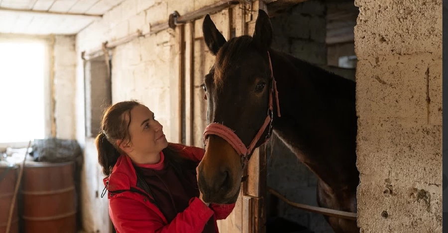 Владелец конного клуба во Львове: Наши лошади должны были «пойти на колбасу», а теперь катают детей