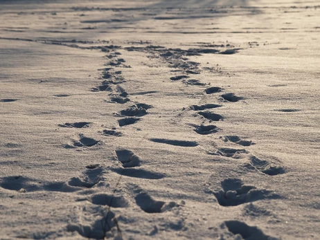 В Украине 26 января ожидаются дожди и мокрый снег, в некоторых областях - мороз до -13