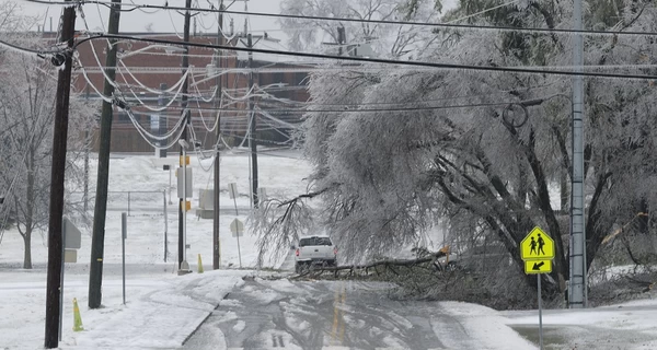 Снежная буря накрыла США - количество жертв выросло до 34 человек