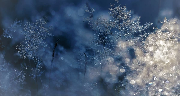 В Украину идут 24-градусные морозы - прогноз погоды на 29 января